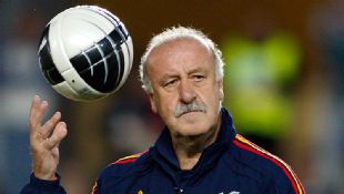 Vicente del Bosque led Spain to glory at the 2010 World Cup